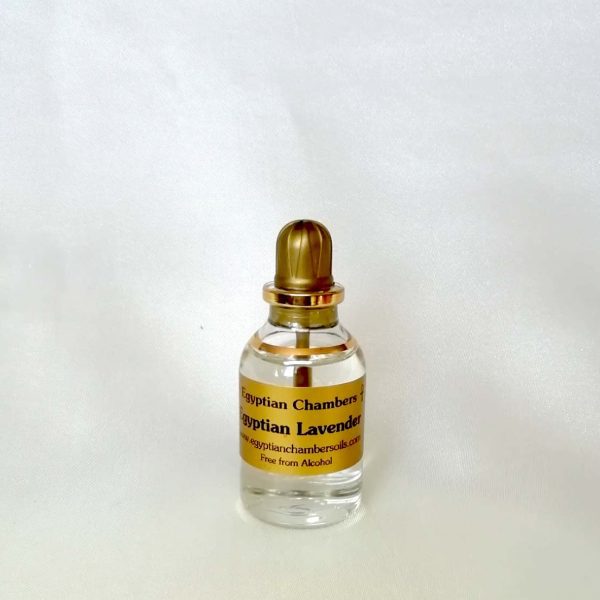 Photo of Egyptian Lavender